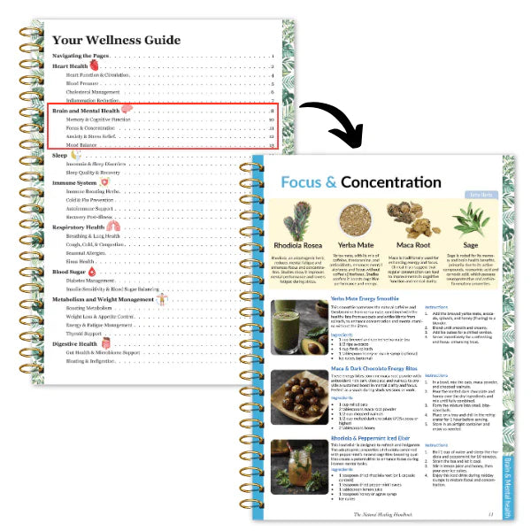 The Natural Healing Handbook