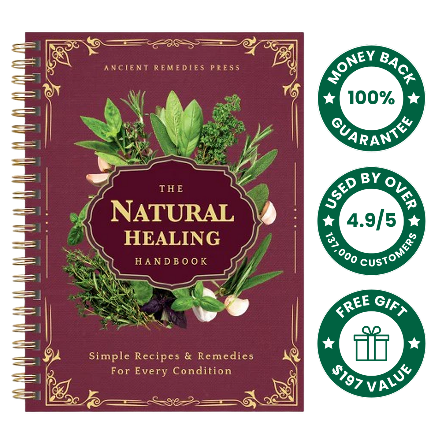 The Natural Healing Handbook